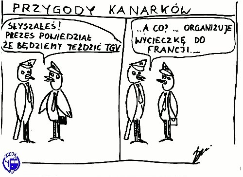 kanarki_2
